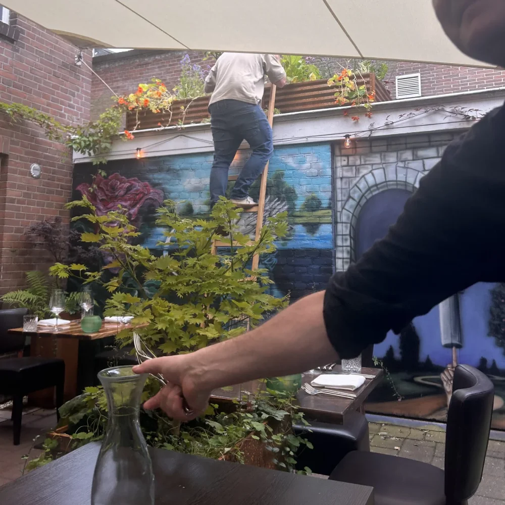 De tuin van Ludique in Delft 4