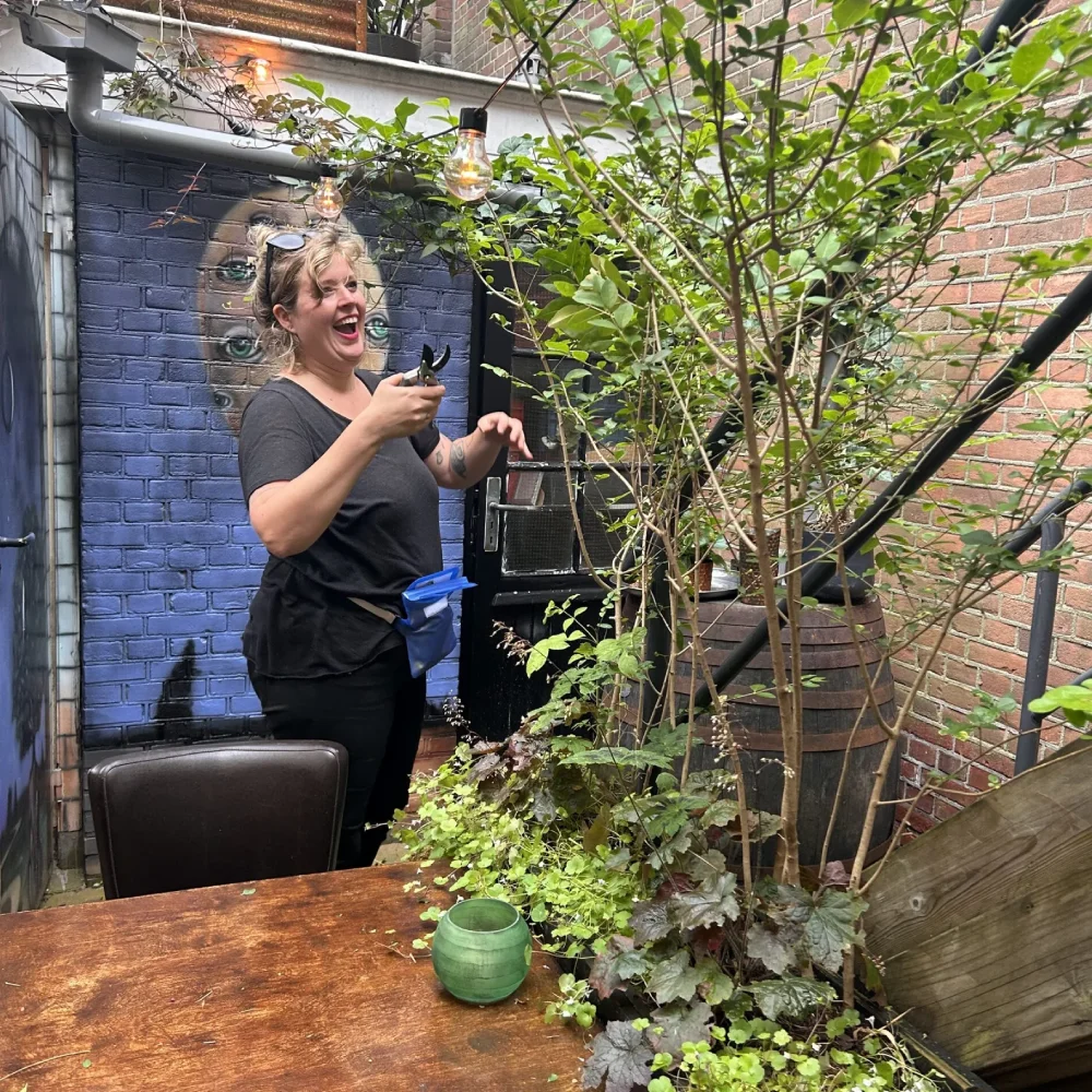 De tuin van Ludique in Delft 5