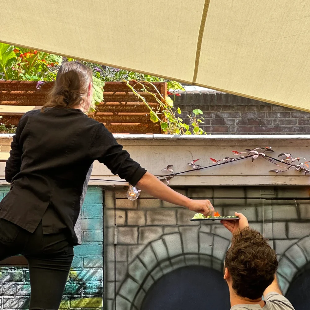De tuin van Ludique in Delft 8